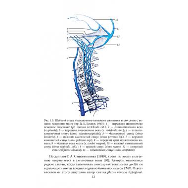 Клиническая анатомия комплекса позвоночная артерия/атланто-окципитальный синус